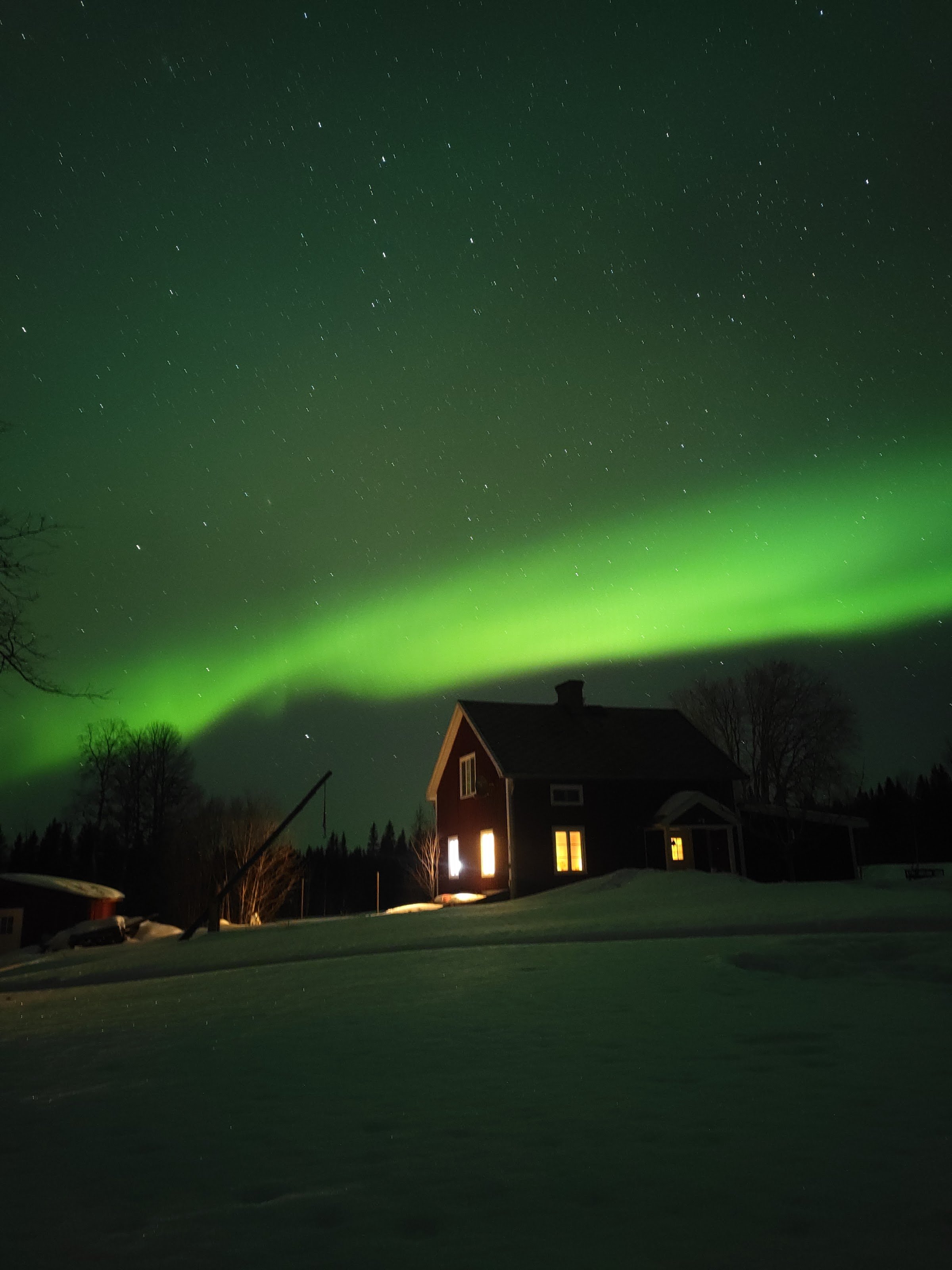 Woodland Farm (Sörviken 320, Hammerdal)